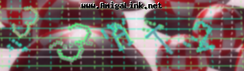 Bestätigungscode
